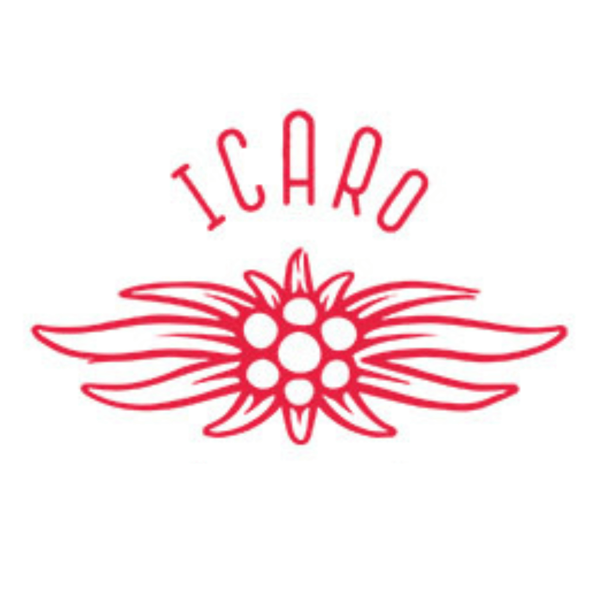 Logo vom Hersteller Icaro in roter Schrift