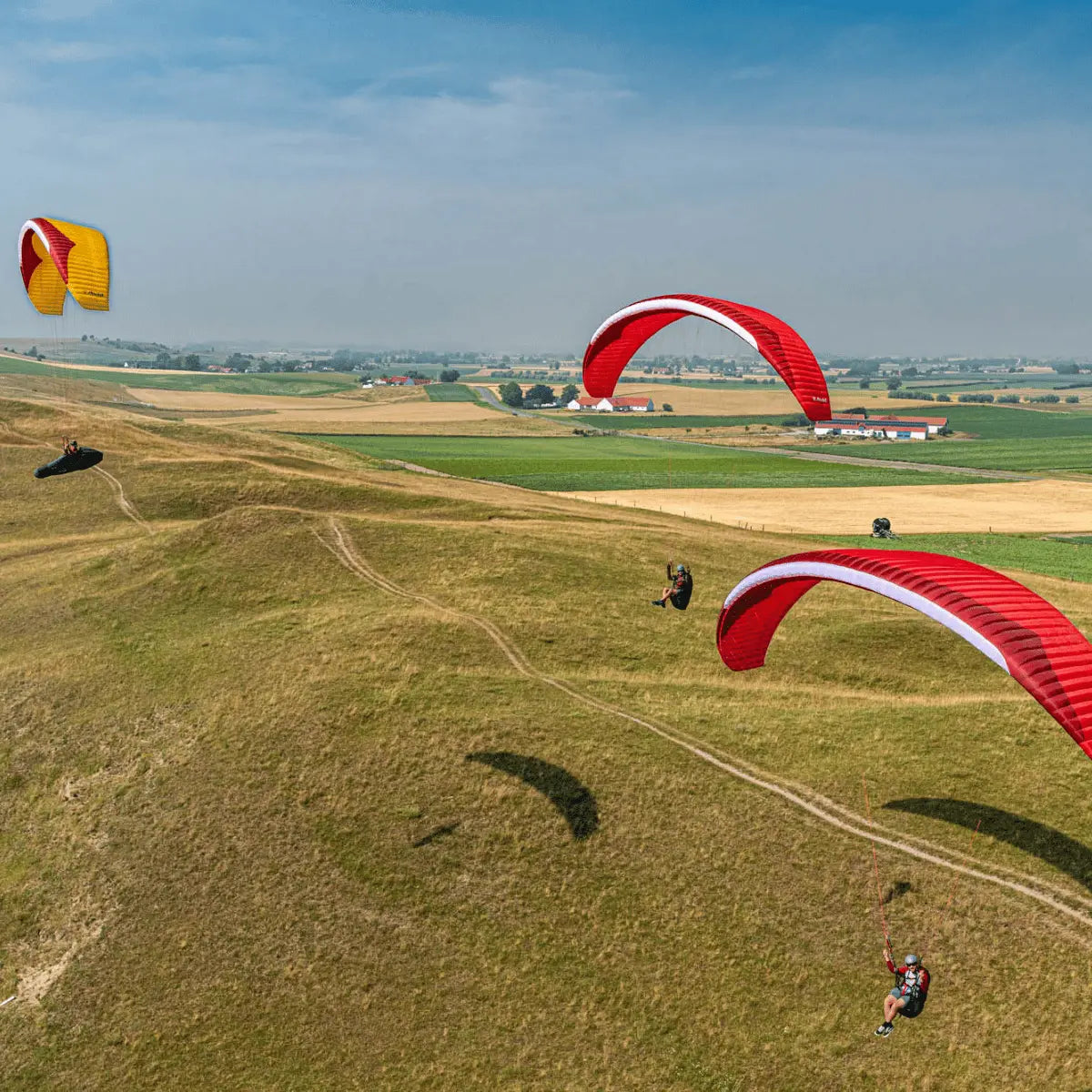 GIN Avid (High EN-B) Gleitschirm beim Paragliding über einem Feld, ideal für Streckenflieger mit hervorragenden Steigeigenschaften und Stabilität.