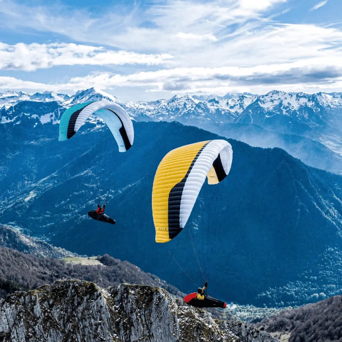 Zwei Gin Gleitschirme, ein gelb-schwarzer und ein blau-weißer, fliegen über einer Berglandschaft mit schneebedeckten Gipfeln.