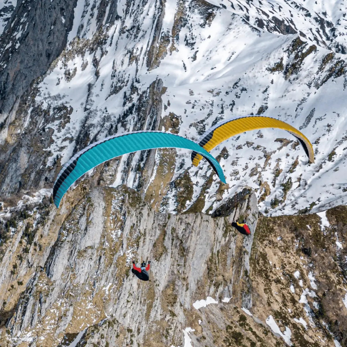 Zwei Gleitschirme, ein türkisfarbener und ein gelber, fliegen über felsige, schneebedeckte Berge. Der türkisfarbene Gleitschirm ist näher und zeigt sein Profil, während der gelbe weiter entfernt ist.