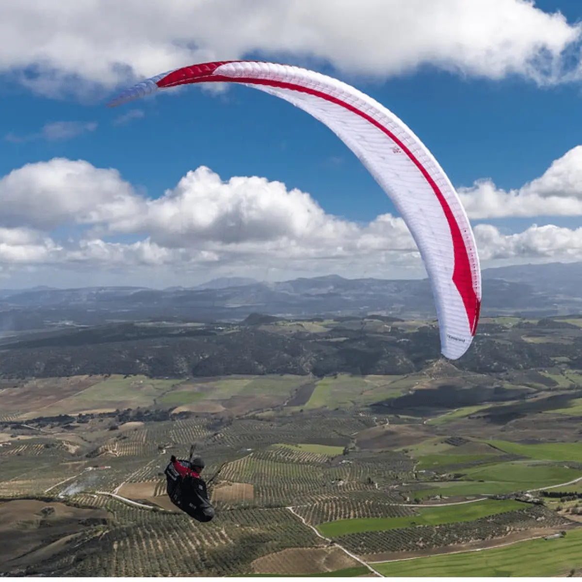 Gin Leopard (EN-D) - Competition Gleitschirm: Paragleiter in der Luft über Feldern, ideal für erfahrene Piloten, die maximale Leistung im Strecken- und Wettkampfflug suchen.