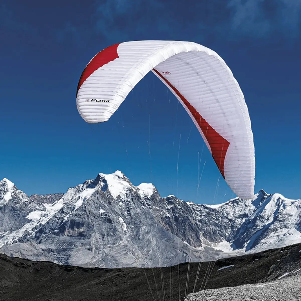 Gin Puma Light (EN-D) Gleitschirm fliegt über schneebedeckte Berge, zeigt weiße Kappe mit roten Akzenten, ideal für erfahrene XC- und Wettkampfpiloten.
