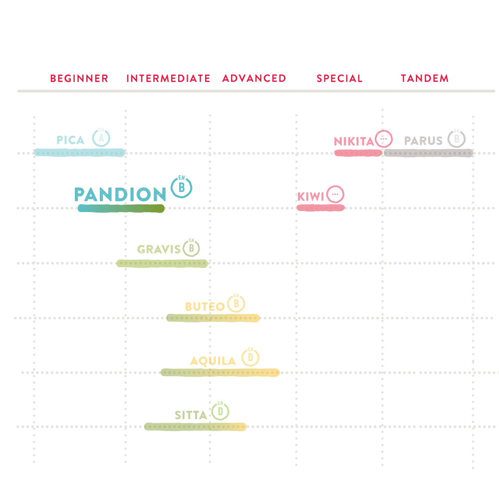 Icaro Pandion 2 Gleitschirm, ideal für B-Klasse-Einsteiger, bietet stabiles, komfortables Fluggefühl; Screen zeigt Konstruktionsdetails und Logo.