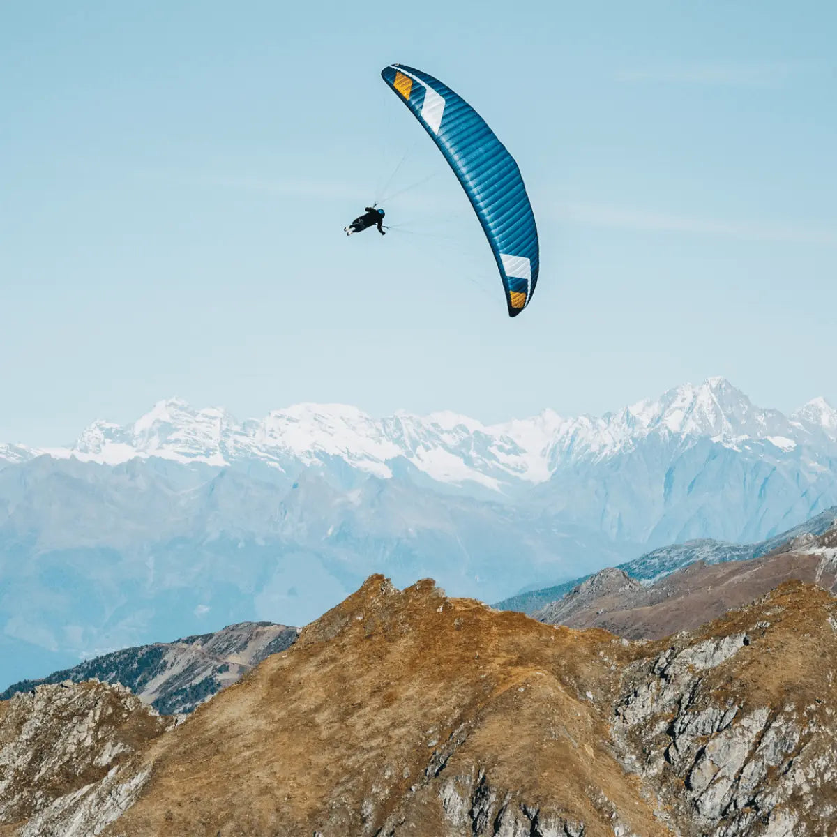 Ein Paraglider mit blau-gelbem Flügel fliegt über schneebedeckte Berge, ein Pilot ist im Gurtzeug zu sehen.
