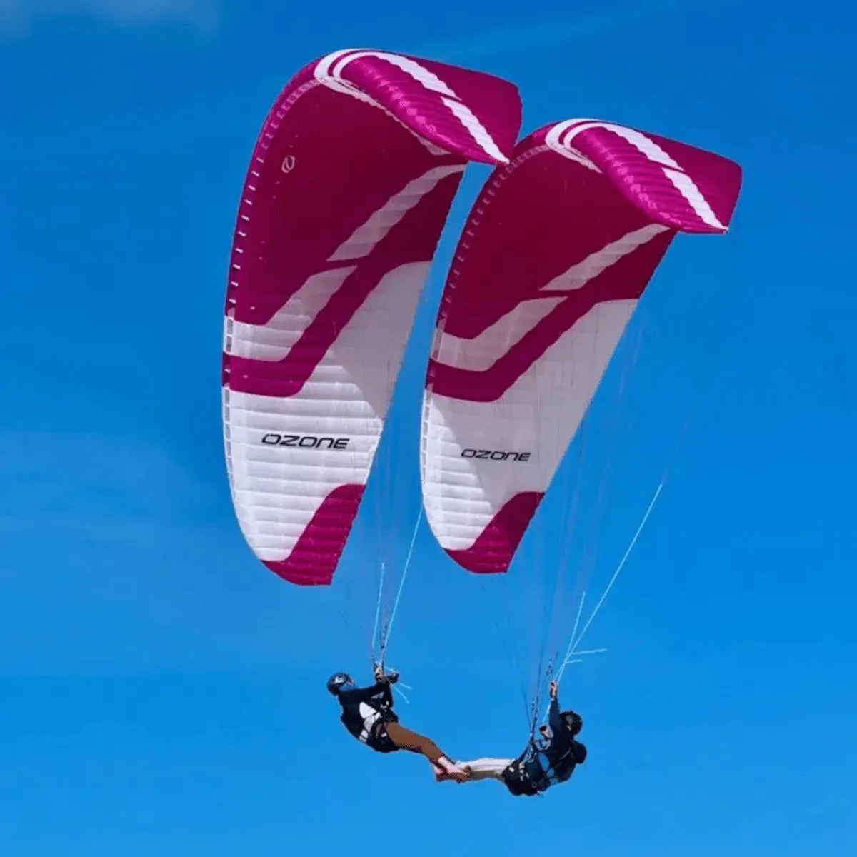 Zwei pink-weiße Parakites von Ozone fliegen im blauen Himmel, gesteuert von zwei Piloten, die nebeneinander im Geschirr hängen.
